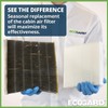 Ecogard XC36080 - Filtro de aire de cabina premium, para