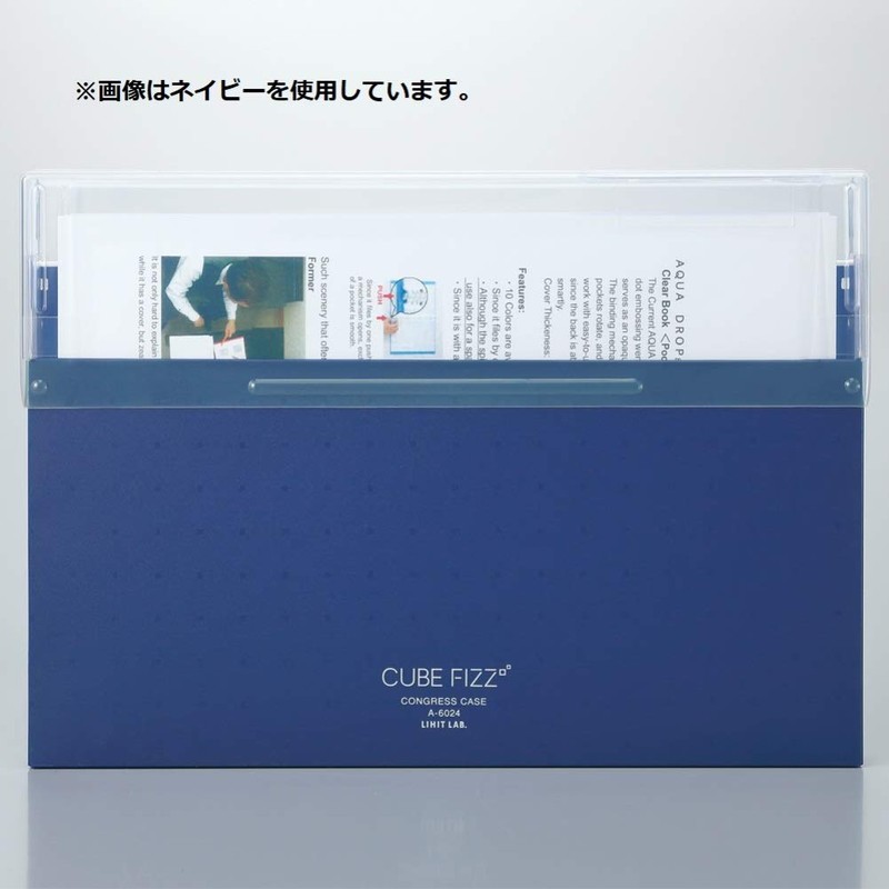 Lihit Lab Document File Case Congress Case A4 CUBE FIZZ