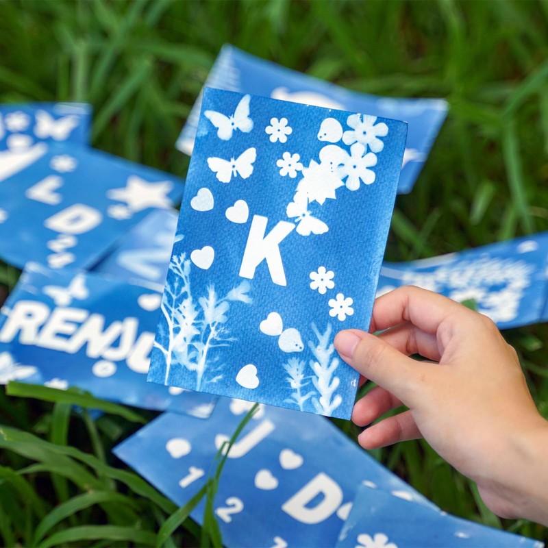 MECCANIXITY Cyanotype Paper, 12 Sheet Sun Print Paper Kit High