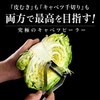 Wada Shoten Propeeler Z Cabbage Julienne Peeler, Made in Japan,