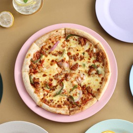 Incauca Set of 10 Wheat Straw Dinner Plates, 10 Inch Reusable Plastic Dessert Plates, Unbreakable Round Flat Serving Dish for Salad Appetizer Steak Pizza Pasta Dishwasher Safe, Green