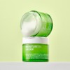 isoi [2 items] Isoi Moisture Doctor Cream (Jang Soo-jin Moisture