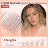 Brown Lash Clusters Natural Eyelash Clusters Wispy Individual Lash Extensions