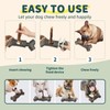 BOUSEPO Bully Stick Holder Branch Shape Durable Dog Chew Holder