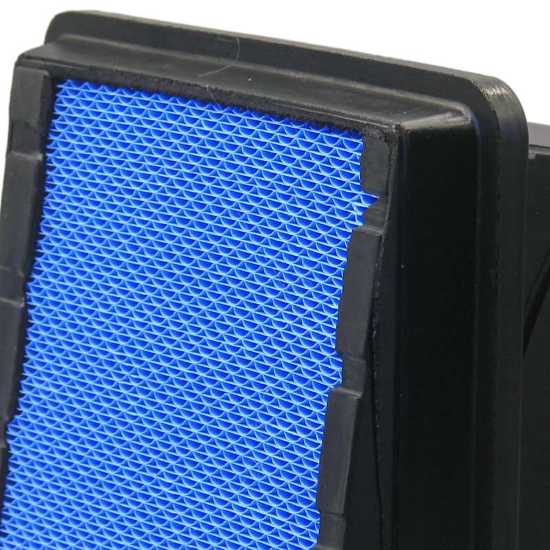 LIFATOOM P623400 Engine Air Filter Replaces 2517298C1，WA10804，PA32001，93785，93786，P616050，P635170