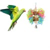 Bird Parrot Toys 3 Pack Shredder Chewing Cage Foraging Hanging