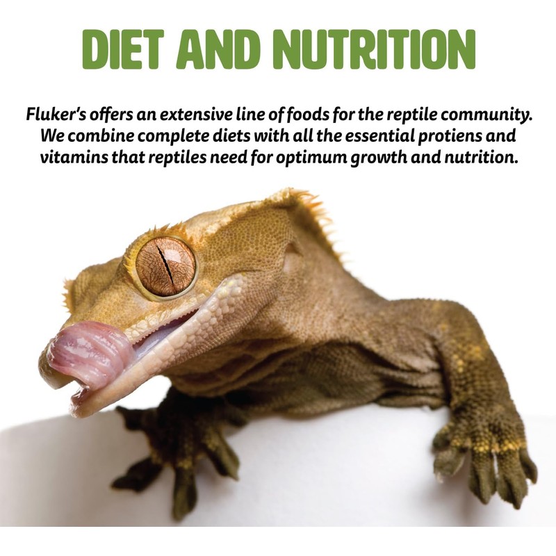 Fluker's Freeze Dried Insects, Nutrient, Packed Mealworms, Ideal for Lizards,