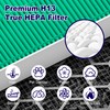 PETOX 4 Pack 116130 HEPA Toxin Absorber Replacement Filter H