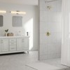 Replacement for D Faucet 13 Series Single-Function Shower Valve Trim