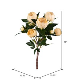 Vickerman Everyday 23" Indoor Artificial Beige Peony Spray - Faux Indoor Floral Arrangement - for Home Or Office Decor - Faux Peony Flowers - Maintance Free