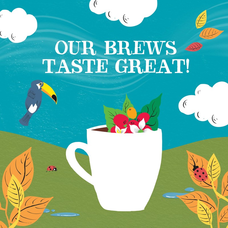 Clipper Coffee: Organic Latin American Instant Coffee – Medium Roast