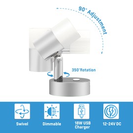 acegoo Reading Lamp 12 V LED Dimmable Caravan Acrylic Flexible Bed Lamp Bedside Table DC 12-24 V 3200 K with USB Charger for Boat Car Camper Van Yacht Wall Mounted Chrome (Pack of 2)