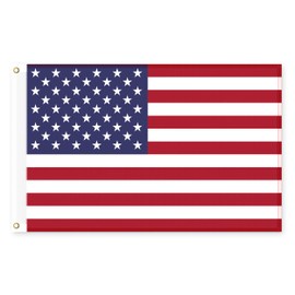 Brick Takeover USA Flag Large - America Flag - Flags and Flags - American Flag