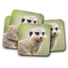 4 Set - Cute Meerkat Coaster - Animal Kids Funny