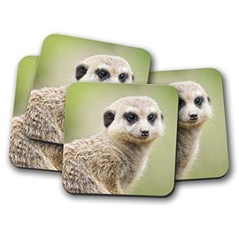 4 Set - Cute Meerkat Coaster - Animal Kids Funny Zoo Mongoose #8554