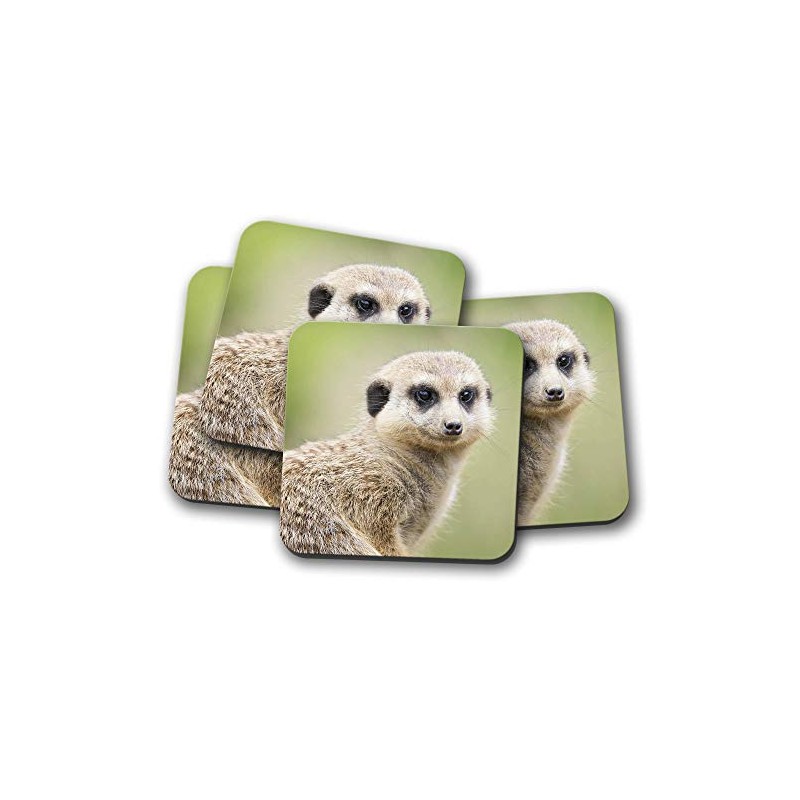 4 Set - Cute Meerkat Coaster - Animal Kids Funny