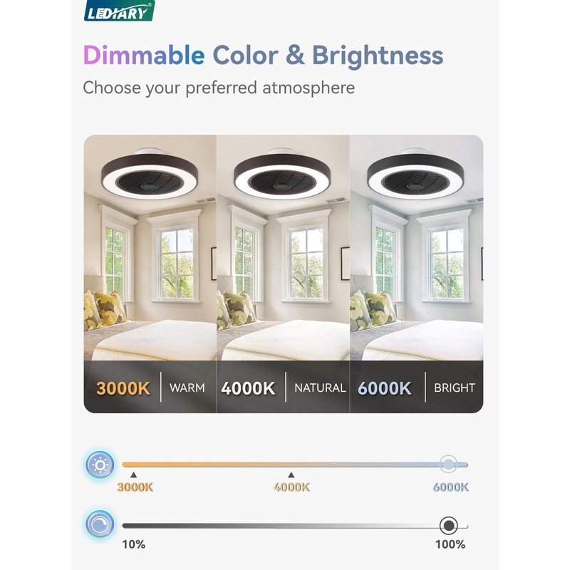 LEDIARY 20 Inch Low Profile Ceiling Fans With Lights, Led
