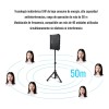 Micrófono Takstar Hm 200w Condensador Diadema Inalámbrico