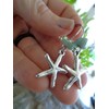 (Almost) real large starfish earrings on long hooks