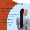 PRETTYSHOP 60 cm Hairpiece HC14, Straight Ponytail Braid Hair Extension,
