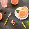 RSVP International Endurance Grapefruit Tool Collection Stainless Steel, Dishwasher Safe,