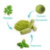 Body Deodorizing Supplement, Internal Body Deodorant Chlorophyll Capsules, Internal Deodorant