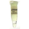 Algae Research Supply Algae Culture Chlorella Vulgaris, Perfect for School