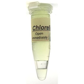Algae Research Supply Algae Culture Chlorella Vulgaris, Perfect for School Science Fairs/Projects, Experiments & Classrooms (1.7mL)