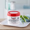 Eucerin Original Healing Rich Creme, 16 Ounce