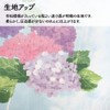 Noren 11358 Seasonal Summer Hydrangea Half Noren Four Seasons Flower