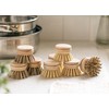 Jungle Culture Firm Bristle Replacement Brush Heads for Eco Dish