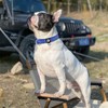 azuza Reflective Dog Collar with AirTag Holder, Pet Collar with