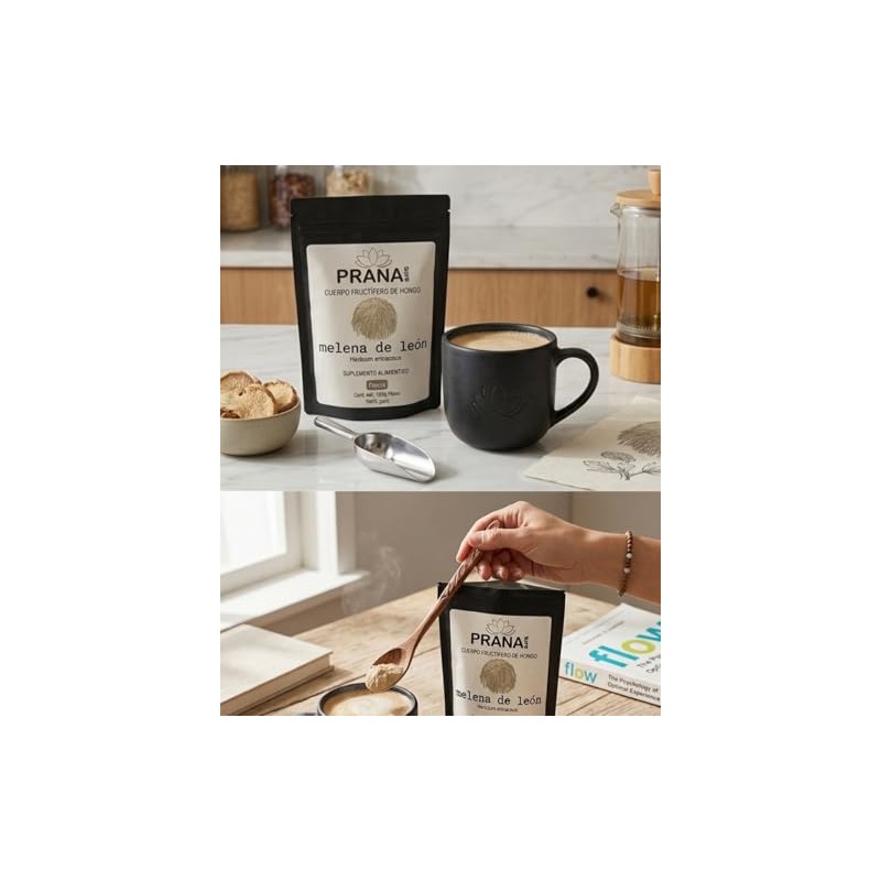 Melena de León Polvo Puro 100g