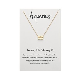 Wishoney Scorpio Necklace For Women Jewelry Astrology Constellation Zodiac Necklace Birthday Gifts