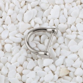 MACHSWON Key Ring with Screw Shackle D shape Heavy Duty PureTitanium Alloy Horseshoe buckle car keychain 18 * 17mm/0.71 * 0.67inch For men and women silver, M, Medium