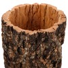 Natural Cork Bark Round Reptile Hideout-Hollow Tree Trunk Climbing Hide-Wooden