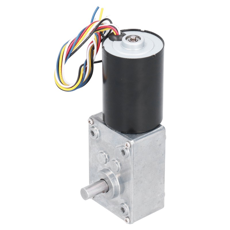 DC Brushless Worm Gear Motor High Torsion Low Noise Turbine