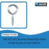 SISI UK Chrome Plated Eye Bolts Screw-in Hooks Heavy Duty