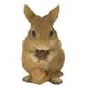 Oubia H24194 Mouse Grabbing Acorn, 2.0 x 1.2 x 2.2