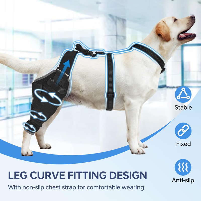 Moysoon Dog Knee Brace for Back Leg - Adjustable Breathable
