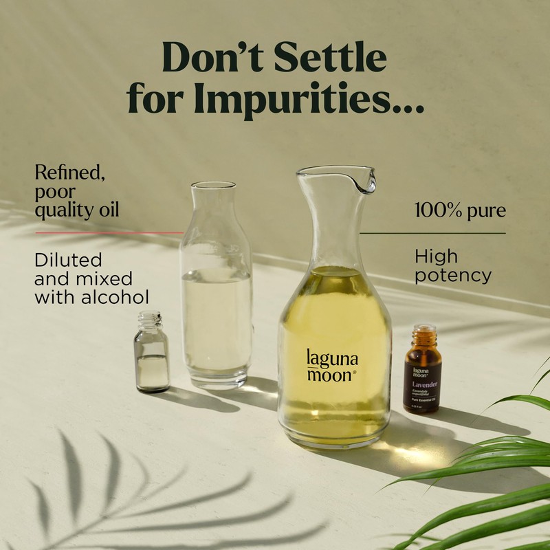 Lagunamoon Essential Oils Set, Top 20 Gift Set Oils for