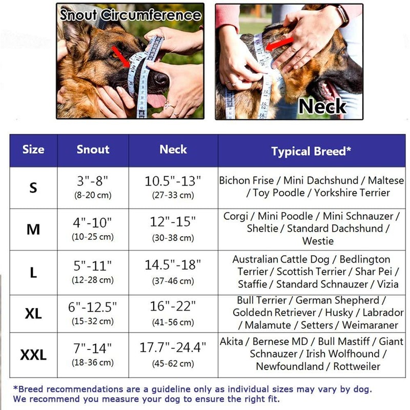 Dog Head Collar, No Pull Training Tool for Dogs on