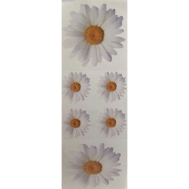Daisy White Stickers - 6 Sheets