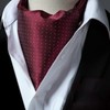 HISDERN Men's Burgundy Cravat Wedding Polka Dot Ascot Tie Classic