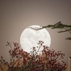 Tooge 4th Generation Moon Lamp, Diameter: Approx. 7.1 inches (18
