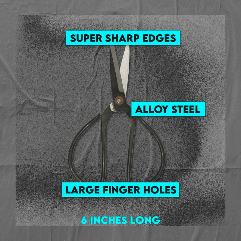 SE Chinese Scissors with Super Sharp Edges Suitable for Embroidery,