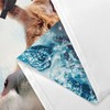 Grtuspr Funny Cat Shower Curtain Set, Cute Cat Riding Shark