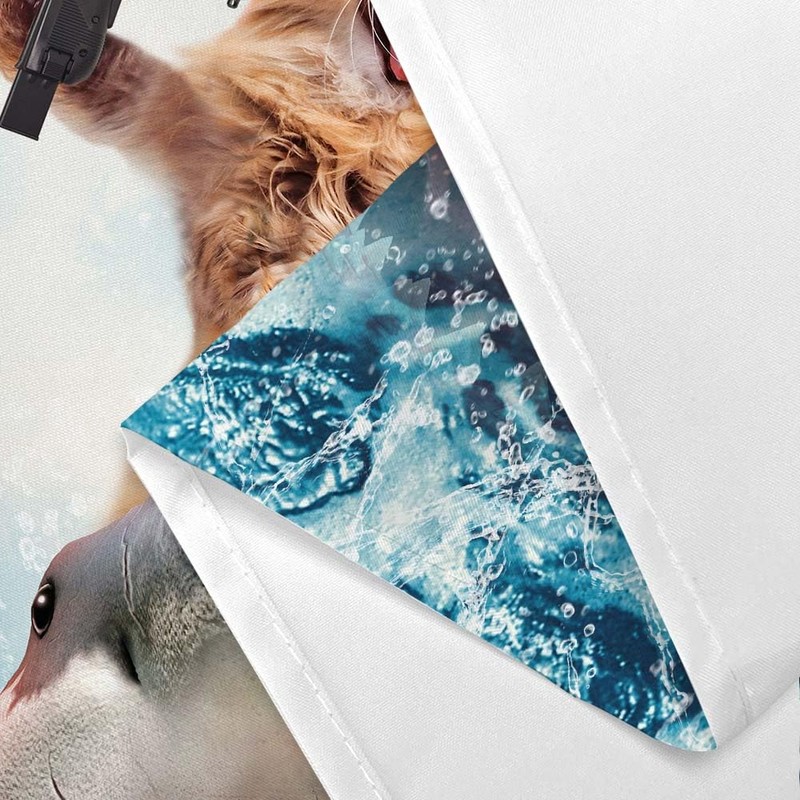 Grtuspr Funny Cat Shower Curtain Set, Cute Cat Riding Shark