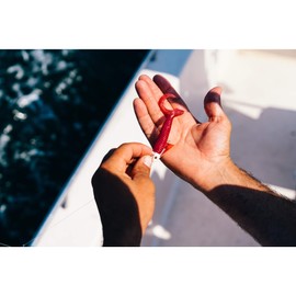 Berkley Gulp! Grub Saltwater Fishing Soft Bait, Pink Shine, 6in