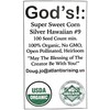 USDA, Organic, Silver, Hawaiian #9, Super, Sweet Corn, Heirloom, Open